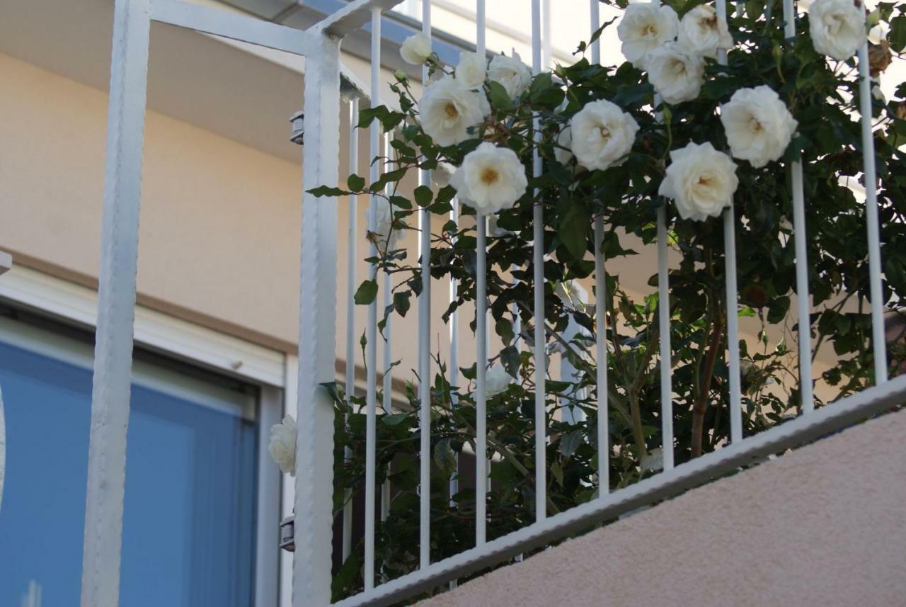 Apartments Nena - טרוגיר מראה חיצוני תמונה